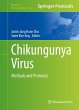 Chikungunya Virus - Bild 1