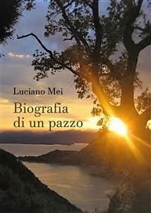 Biografia di un pazzo (eBook, ePUB) - Mei, Luciano