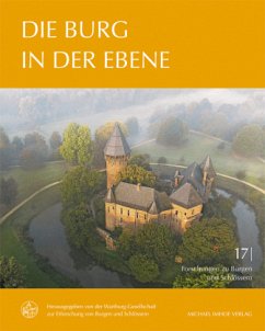 Die Burg in der Ebene / Forschungen zu Burgen und Schlössern Bd.17