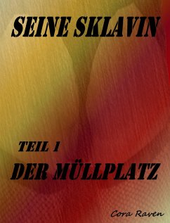 Cover SEINE SKLAVIN, Teil 1 (eBook, ePUB)