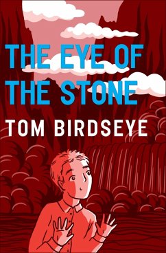The Eye of the Stone (eBook, ePUB) - Birdseye, Tom