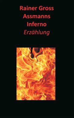 Assmanns Inferno (eBook, ePUB)