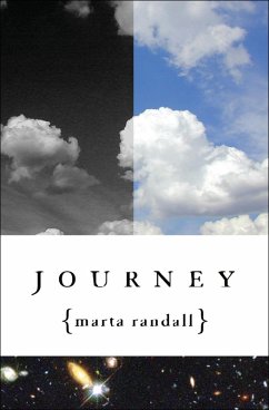 Cover Journey (eBook, ePUB)