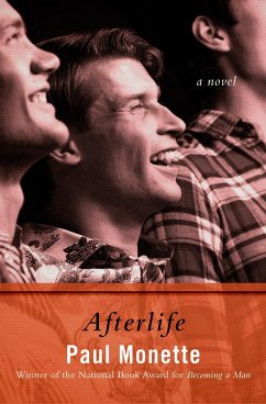 Cover Afterlife (eBook, ePUB)