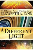 A Different Light (eBook, ePUB)