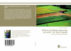 Effects of tillage intensity on soil C, N, and P pools - Piegholdt, Christiane