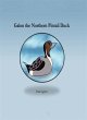Galon the Northern Pintail Duck (eBook,... - Bild 1