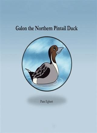 Galon the Northern Pintail Duck (eBook, ePUB)