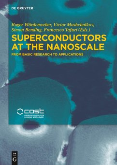 Superconductors at the Nanoscale