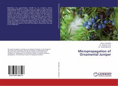 Micropropagation of Ornamental Juniper