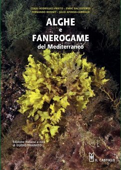 Cover Alghe e fanerogame del Mediterraneo