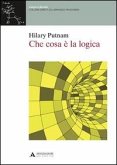Che cosa è la logica Che cosa è la logica