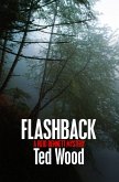 Flashback (eBook, ePUB)