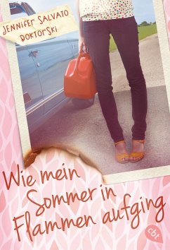 Wie mein Sommer in Flammen aufging (eBook, ePUB) - Doktorski, Jennifer Salvato