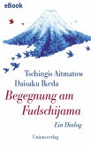 Begegnung am Fudschijama (eBook, ePUB)