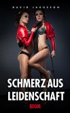 Schmerz aus Leidenschaft [Hardcore BDSM] (eBook, ePUB)