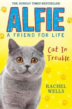 Alfie Cat in Trouble - Wells, Rachel