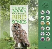 The Little Book of Woodland Bird Songs - Pinnington, Andrea; Buckingham, Caz