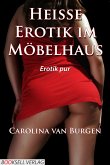 Heiße Erotik im Möbelhaus (eBook, ePUB)