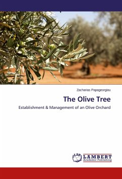 The Olive Tree - Papageorgiou, Zacharias