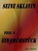 SEINE SKLAVIN, Teil 3 (eBook, ePUB)