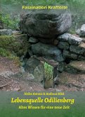 Lebensquelle Odilienberg (eBook, ePUB)