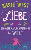 Liebe ist die schönste Naturkatastrophe der Welt (eBook, ePUB)