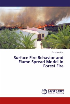 Surface Fire Behavior and Flame Spread Model in Forest Fire