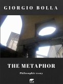 The metaphor (eBook, ePUB)