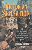 Victorian Sensation (eBook, PDF)