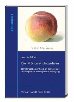 Das Phänomenologenheim - Feldes, Joachim