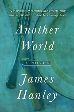 Another World (eBook, ePUB) - Hanley, James