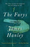The Furys (eBook, ePUB)