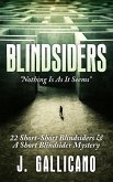 BLINDSIDERS (eBook, ePUB)