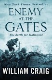 Enemy at the Gates (eBook, ePUB)