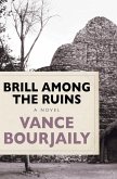 Brill Among the Ruins (eBook, ePUB)