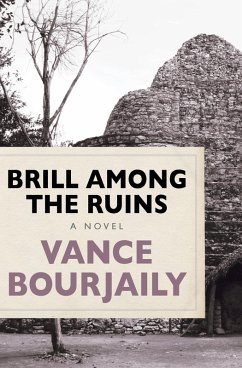 Cover Brill Among the Ruins (eBook, ePUB)