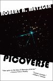 Picoverse (eBook, ePUB)