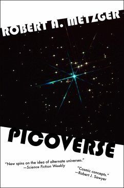 Cover Picoverse (eBook, ePUB)