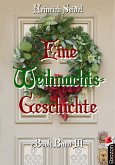 Eine Weihnachtsgeschichte (eBook, PDF)