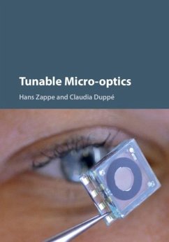 Cover Tunable Micro-optics (eBook, PDF)