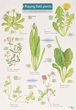 Cover Playing Field Plants