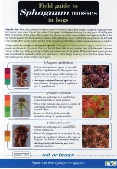 Field Guide to Sphagnum Mosses in Bogs - O'Reilly, Claire; O'Reilly, John; Tratt, Ros