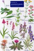 Guide to Grassland Plants 2 Guide to Grassland Plants 2