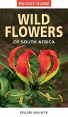 Pocket Guide to Wildflowers of South Africa (eBook, PDF)