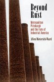 Beyond Rust (eBook, ePUB)