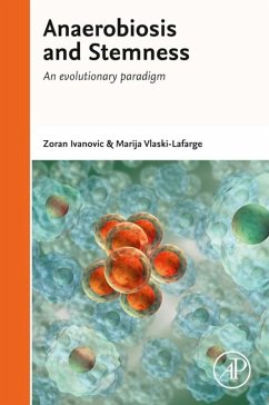 Anaerobiosis and Stemness (eBook, ePUB) - Ivanovic, Zoran; Vlaski-Lafarge, Marija