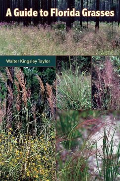 Cover A Guide to Florida Grasses (eBook, ePUB)
