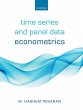 Time Series and Panel Data Econometrics... - Bild 1