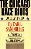 Chicago Race Riots (eBook, ePUB)